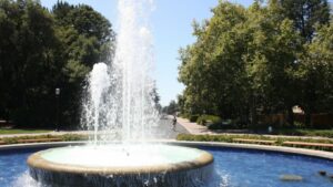 How Are Minimalist Outdoor Fountains Changing Backyard Design Trends? Improving Modern Landscapes with Simplicity